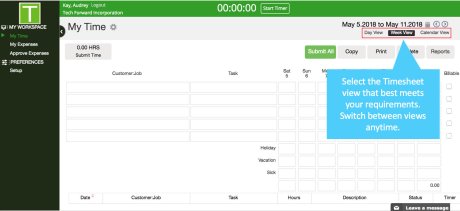 Screenshot of TimeRewards timesheet week view. 